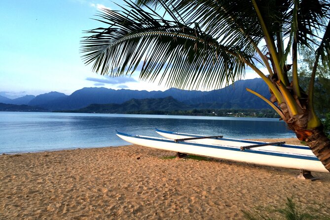Kualoa Ranch - Secret Island Beach Adventure - Wildlife and Nature, Visitor Facilities and Amenities