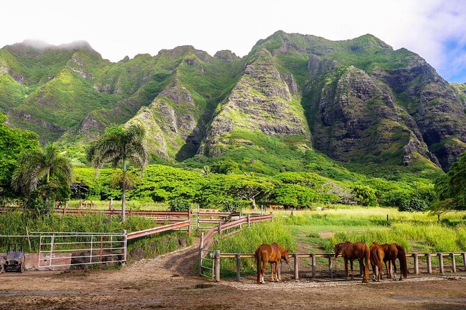 Kualoa Ranch - UTV Raptor Tour - Ranch Overview