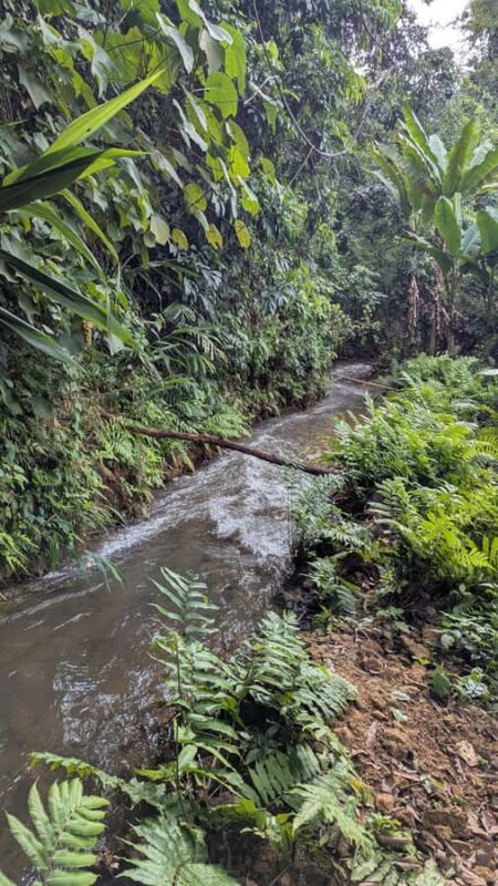 Kuang Si Falls, Forest Easy Hike & Mekong Sunset Cruise - Practical Tips for Travelers