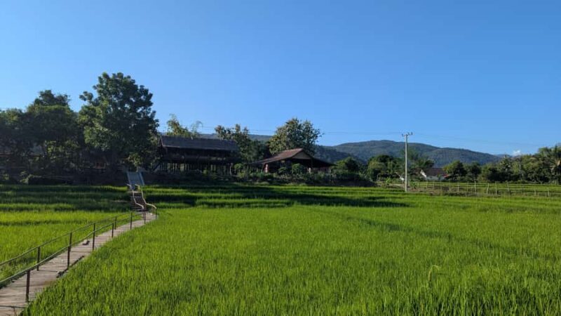 Kuang Si Falls, Forest Easy Hike & Mekong Sunset Cruise - Who is this tour best suited for?