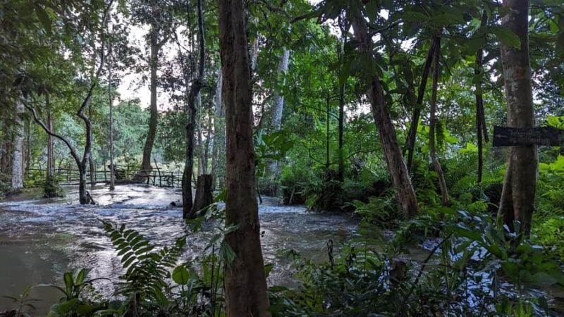 Kuang Si Falls, Khmu Village Trek & Sunset Cruise - What Reviewers Say