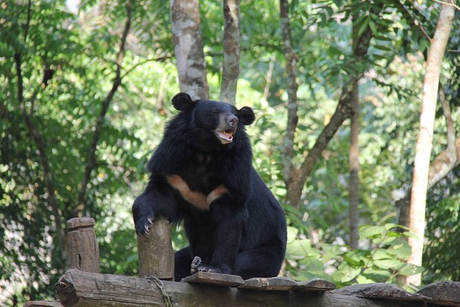 Kuang Si Waterfall Tour - Cancellation Policy