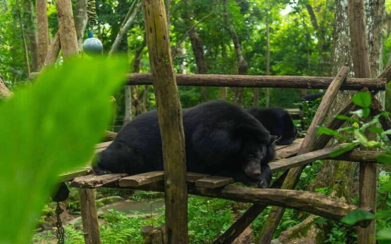 Kuang Si Waterfall, Tree Top Cafe, Ziplining - FAQ