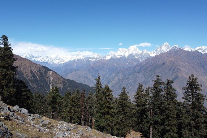 Kuari Pass Trek - What Makes the Kuari Pass Trek Stand Out?