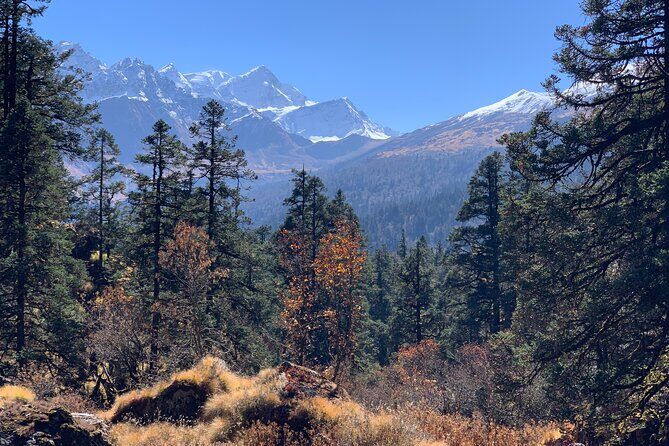 Kuari Pass Trek - Final Thoughts