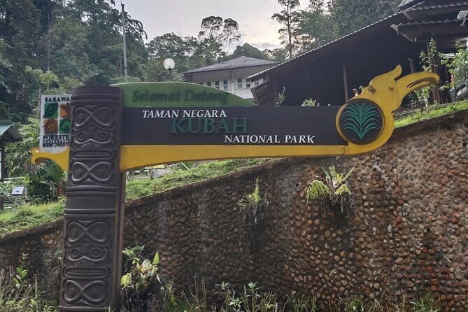 Kubah's Nocturnal Wonders Nighttime Frog Safari - Why This Tour Offers Great Value