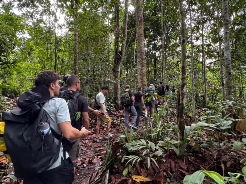 KUCHING: 3D2N BATANG AI HEADHUNTERS & RAINFOREST ADVENTURE - Practicalities and Value  