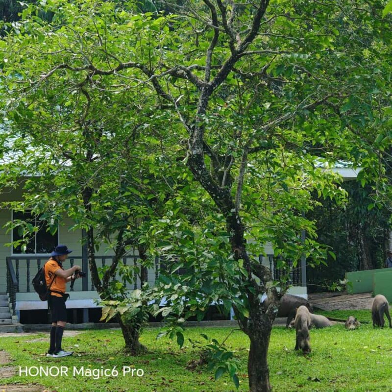 Kuching: Bako National Park 2-Day Wildlife Tour - FAQ: Your Questions About the Bako 2-Day Wildlife Tour