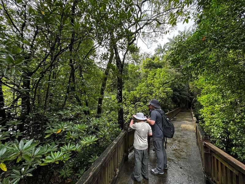 Kuching Bako National Park Full-Day Wildlife Discovery - Compare the format before choosing