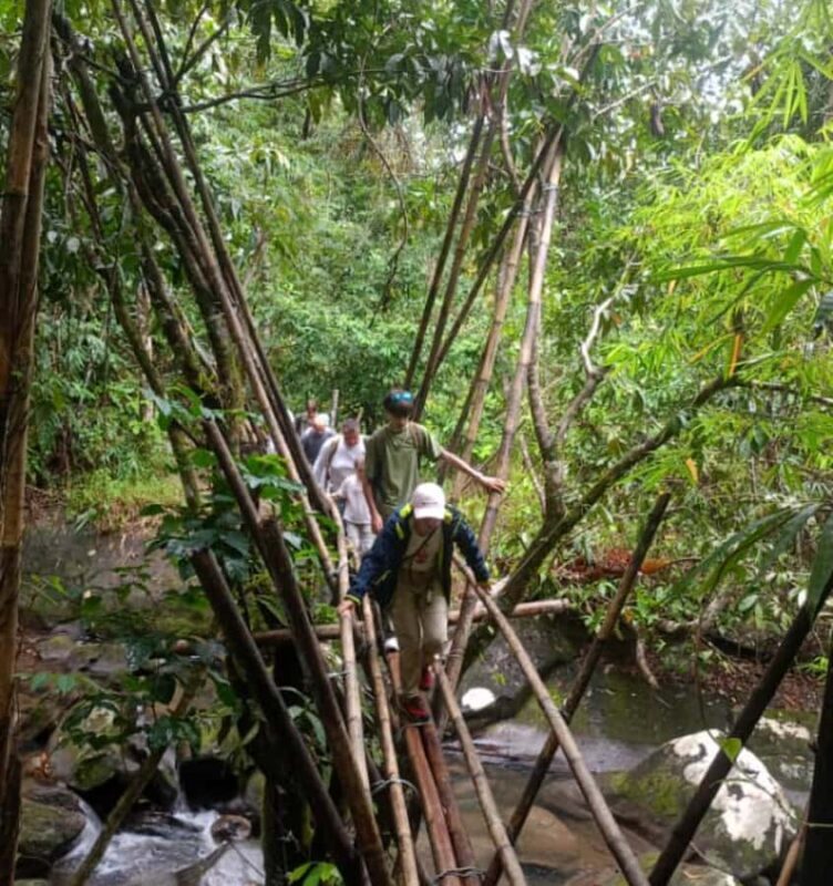 Kuching: Bengoh Valley & Susung Waterfall Day Trip - Introduction