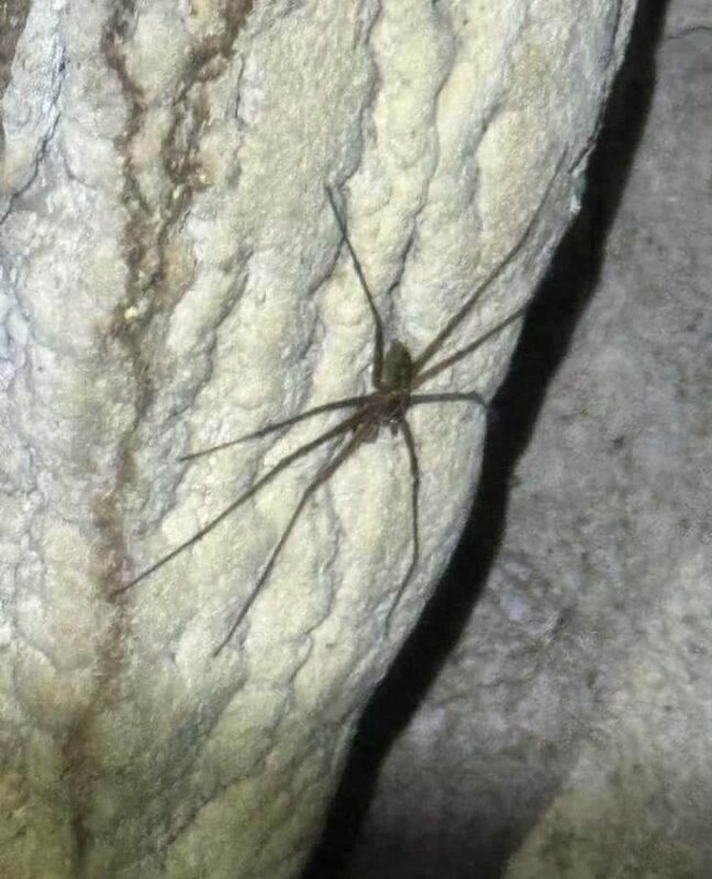 Kuching: Fairy & Wind Cave Guided Tour - Exploring Sarawak’s Hidden Gems: The Fairy & Wind Cave Guided Tour