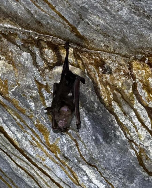 Kuching: Fairy & Wind Cave Guided Tour - Practical Tips for the Tour