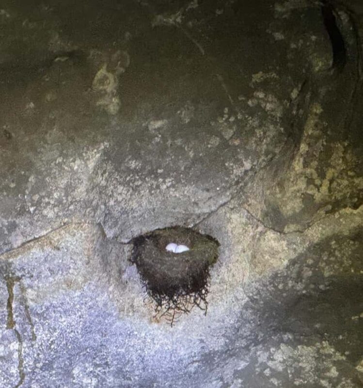 Kuching: Fairy & Wind Cave Guided Tour - Who Would Love This Tour?