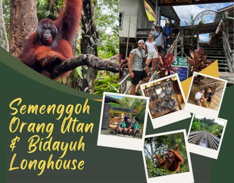 Kuching Orangutan & Bidayuh Longhouse - Detailed Analysis of the Experience