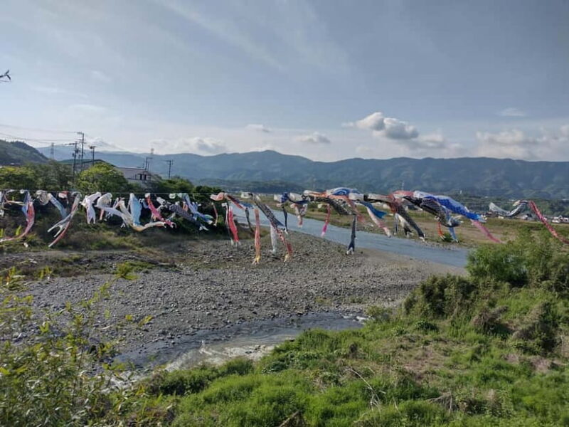 Kudoyama: Foot of Koyasan Historical Town Cycling Tour - Discovering Kudoyama’s Charm on Two Wheels