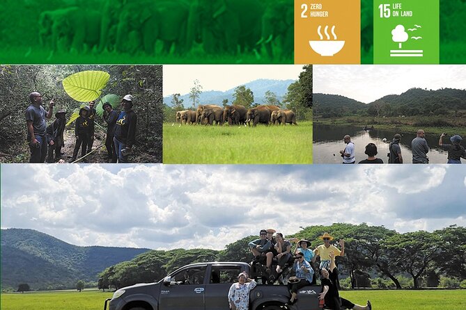 Kuiburi Wildlife Watching & Cookery With Host - Tour Details and Duration