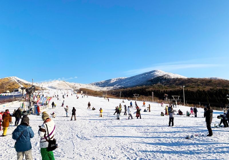 Kuju Forest Park Ski Tour from Fukuoka - Choose a Package That Matches Your Day