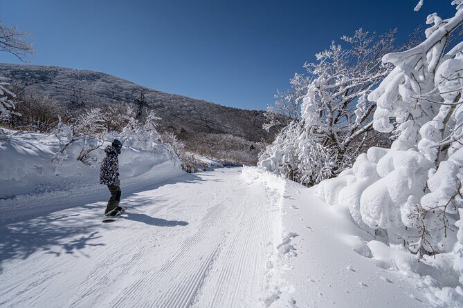 Kuju Forest Park Skiing Grounds Day Tour from Fukuoka - The Experience on the Slopes and Beyond