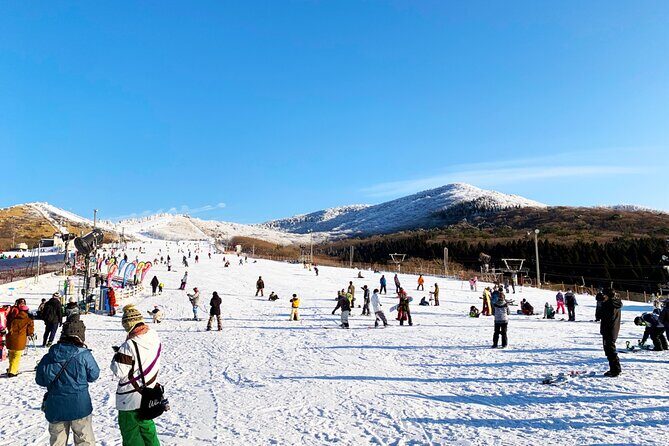 Kuju Forest Park Skiing Grounds Day Tour from Fukuoka - Introduction