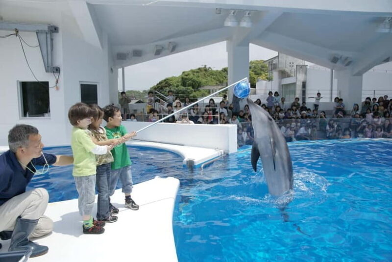 Kujukushima: Aquarium Umikirara Admission Ticket - Good To Know