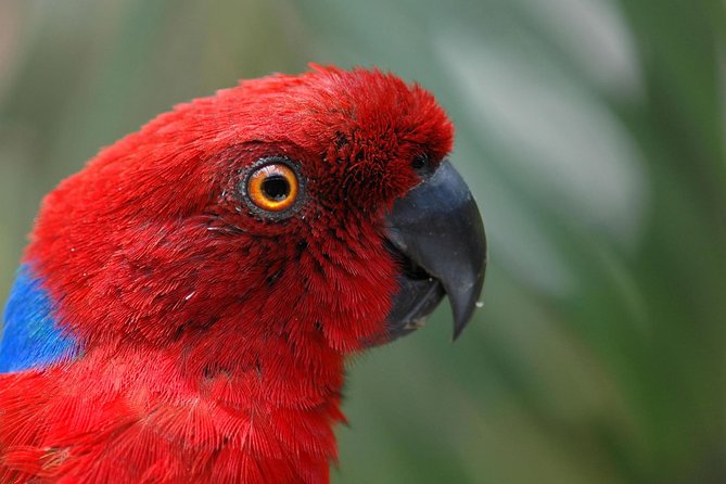 Kula Eco Park Admission - Cancellation Policy