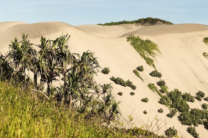 Kula Eco Park and Local School Full-Day Tour in Fiji  - Denarau Island - Additional Information and Reviews