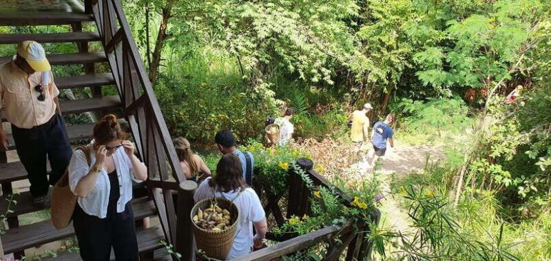 Kulen Elephant Forest and Banteay Srei Temple Tour - Wrapping Up