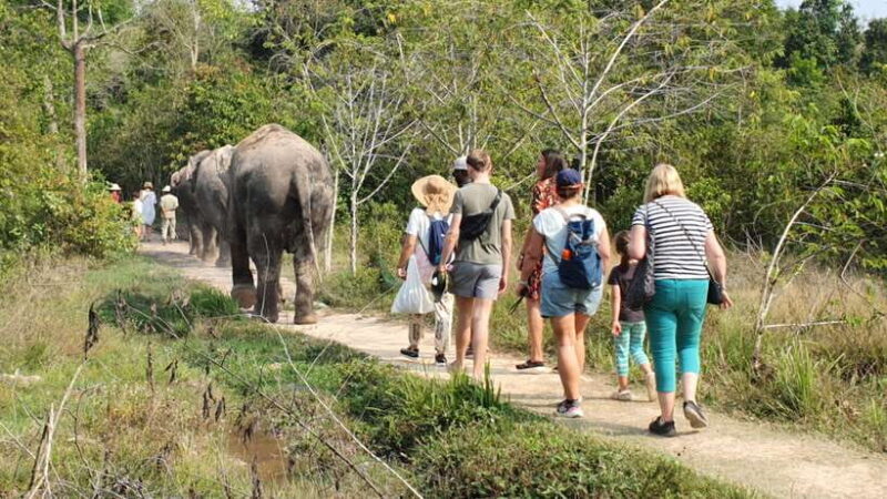 Kulen Elephant Forest and Banteay Srei Temple Tour - Who Should Consider This Tour?