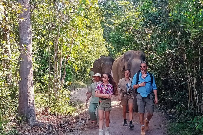 Kulen Elephant Forest and Tonle Sap Lake by Private Tour - Insider Tips