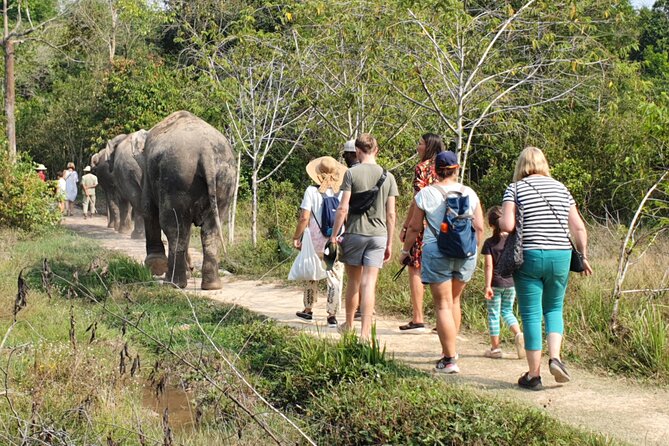 Kulen Elephant Forest by Private Tour - Visitor Reviews and Ratings