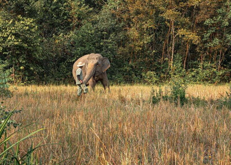 Kulen Elephant Forest Siem Reap in Small Group - Frequently Asked Questions (FAQs)