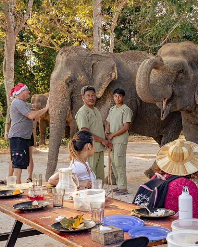 Kulen Elephant Forest & Tonlesap Lake - Authentic Feedback from Past Travelers