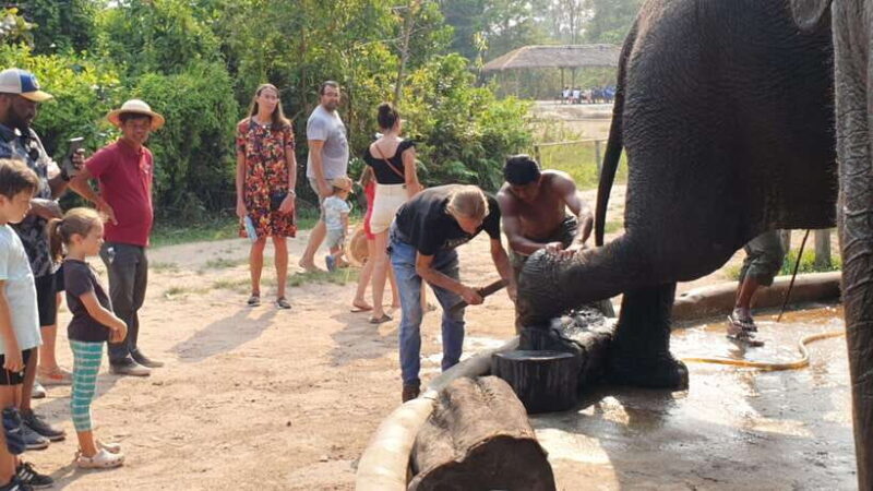 Kulen Elephant Forest & Tonlesap Lake - Who Will Love This Experience?