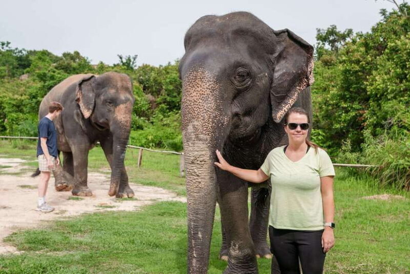 Kulen Elephant Forest Tour with Hotel Pick-up & Drop off - Good To Know