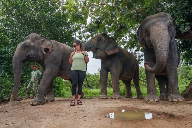 Kulen Mountain Day Trip with Picnic and Kulen Elephant Forest - What makes this trip worth considering