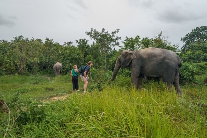 Kulen Mountain Day Trip with Picnic and Kulen Elephant Forest - Who should book it?