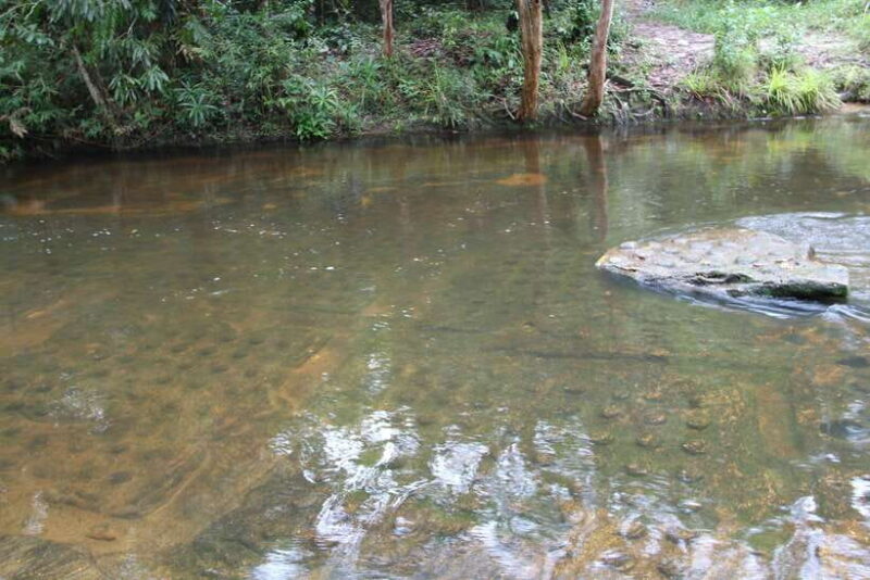 Kulen Mountain: Full-Day Private Waterfall Tour - Final Thoughts: Is it Worth It?