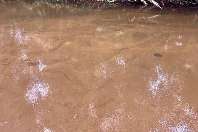 Kulen Mountain Waterfalls the National Park - Exploring Kulen Mountain Waterfalls and National Park