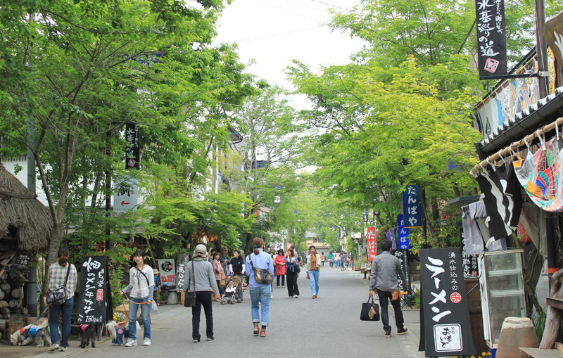 Kumamoto Aso Day Trip: Enjoy 4 Major Attractions Group Tour - Aso Shrine and its Monzen-machi street