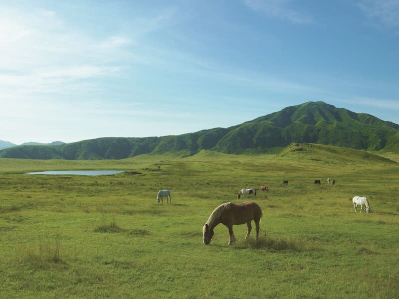Kumamoto Aso Nakadake Crater & Kusasenri Day Trip Private Tour - Aso Station and the slow parts of the schedule