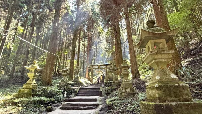 Kumamoto: Aso Volcano, Private Tour & Washi Paper Workshop - Introduction: A Unique Blend of Nature, Culture, and Craftsmanship