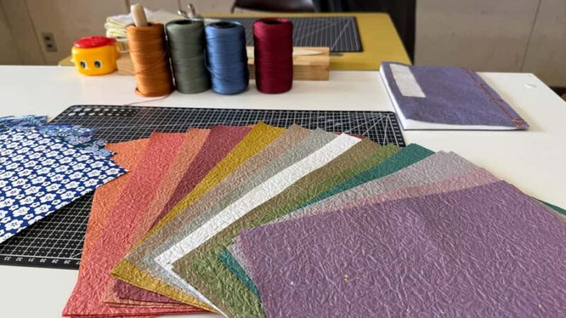 Kumamoto: Aso Volcano, Private Tour & Washi Paper Workshop - Authentic Aso Cuisine: Local Flavors and Hands-On Noodle Making