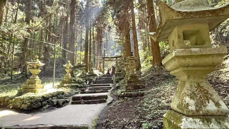 Kumamoto: Aso Volcano, Private Tour & Washi Paper Workshop - Authentic Insights from Past Travelers