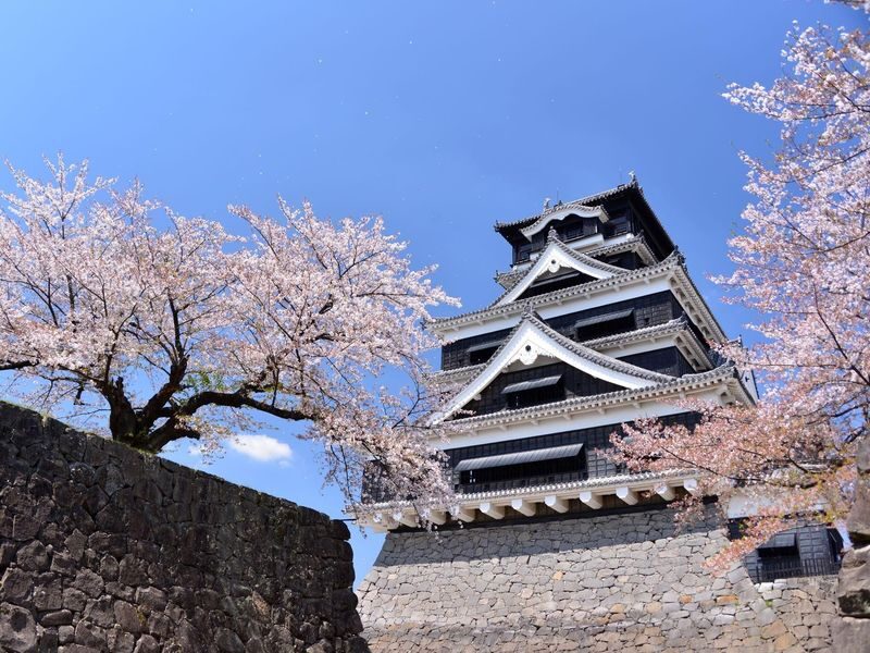 Kumamoto Castle Ticket - What to know before you go