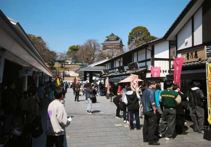 Kumamoto City: Private Castle Tour & Hidden Local Eats - Discovering Kumamoto Castle Like a Local