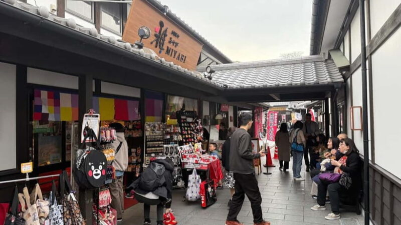 Kumamoto City: Private Castle Tour & Hidden Local Eats - An In-Depth Look at the Kumamoto Private Tour