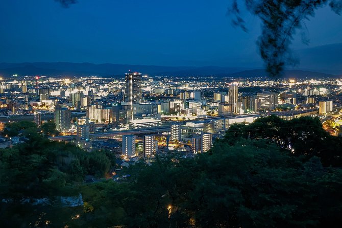 Kumamoto Custom Half Day Tour - Pricing and Booking Details