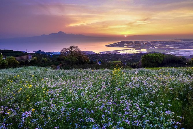 Kumamoto Custom Half Day Tour - Attraction Fees