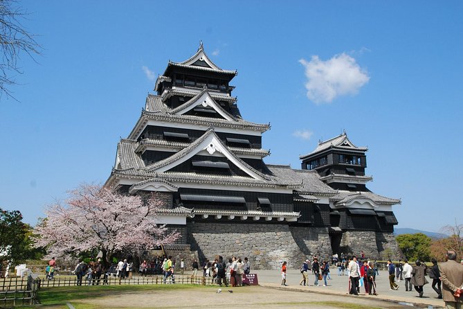 Kumamoto Custom Half Day Tour - How to Book