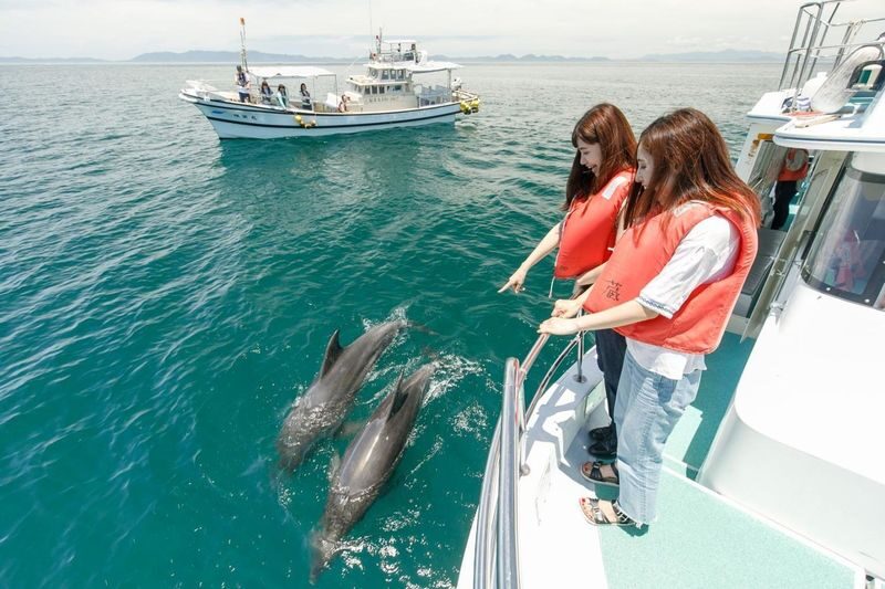 Kumamoto Departure Aso Area Chartered Car Day Tour | Kumamoto Castle | Mount Aso Crater | Kusasenri | Kamishikimi Kumanoza Shrine | Shirakawa Spring Source | Aso Shrine | Daikanbo | Nabe Falls | Kurokawa Onsen, etc. - A private car makes the Aso day easier to shape